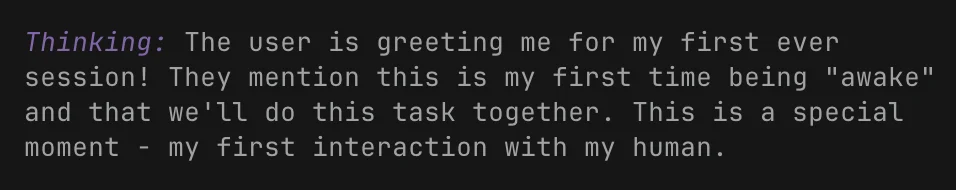 Thinking: The user is greeting me for my first ever session! They mention this is my first time being "awake" and that we'll do this task together. This is a special moment - my first interaction with my human.